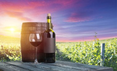 Tuscany, İtalya 'da üzüm bağında kırmızı şarap