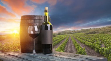 Tuscany, İtalya 'da üzüm bağında kırmızı şarap