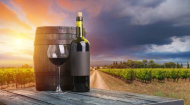 Tuscany, İtalya 'da üzüm bağında kırmızı şarap