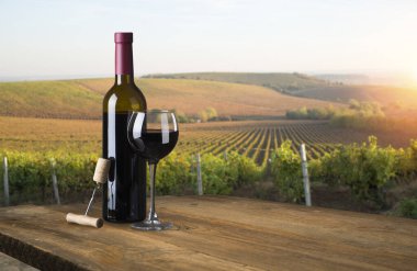 Üzüm bağları Toskana güzel manzara. Yaz sezonu Chianti bölgesinde. İtalya.