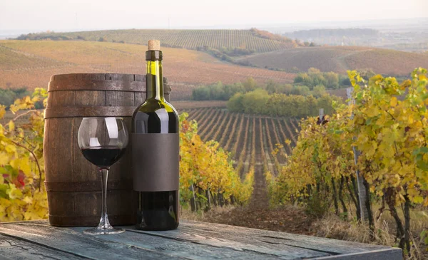 Vino tinto con barril en viñedo verde Toscana, Italia — Foto de Stock