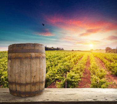 Tuscany, İtalya 'da üzüm bağında kırmızı şarap