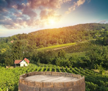 Tuscany, İtalya 'da üzüm bağında kırmızı şarap
