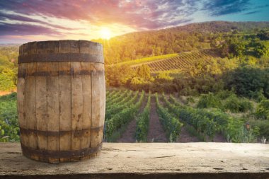 Tuscany, İtalya 'da üzüm bağında kırmızı şarap