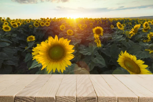 Насіння соняшнику в мішковині на дерев'яному столі з полем на фоні. Фотографія з простором копіювання для тексту — стокове фото