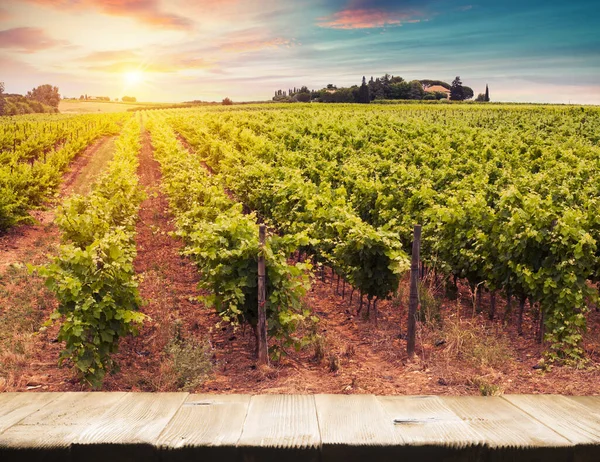 Red wine with barrel on vineyard in green Tuscany, Italy — Stock Photo, Image