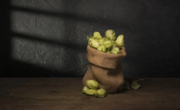 Зелений Хміль Солод Вуха Ячменю Пшениці Інгредієнти Приготування Пива Хліба — стокове фото