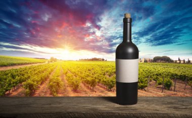 Chianti, Toskana, İtalya 'da üzüm bağında beyaz şarap