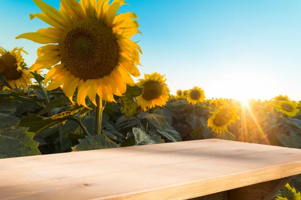 Zonnebloempitten Zak Zonnebloempitten Jute Zak Houten Tafel Met Gebied Van — Stockfoto