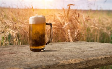 Buğday tarlasına ve günbatımına karşı bir bardak bira ve şişe