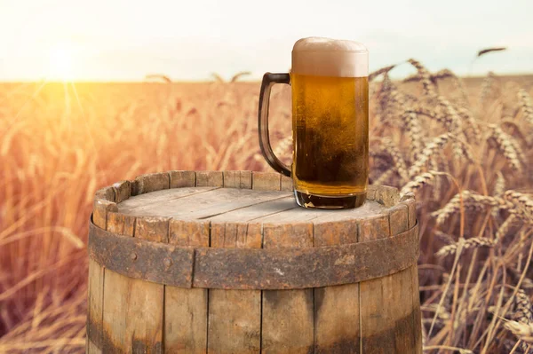 Sklenice piva a láhve proti pšeničnému poli a západu slunce — Stock fotografie