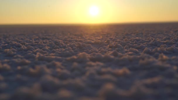 Salta kärr på bakgrunden av gryningen, botten av havet, salt — Stockvideo