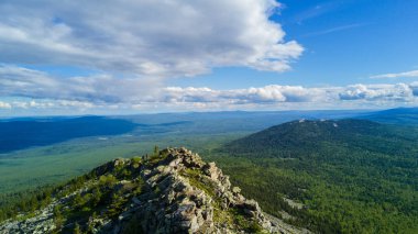 Bir dağın taşlı topraklarında büyüyen kozalaklı orman.