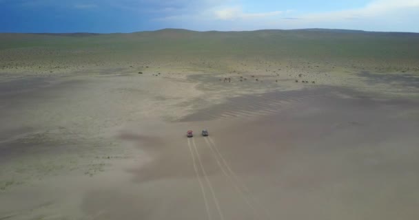 Auto 's rijden door de Gobi woestijn in Mongolië langs een kudde kamelen — Stockvideo