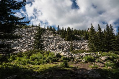 Urallar 'ın dağlarındaki Kurumlar, Taş Nehir