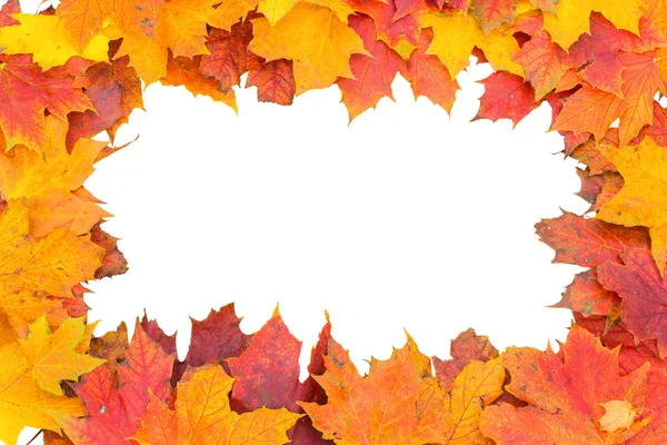 Vignette für Herbstblätter auf weißem Hintergrund — Stockfoto