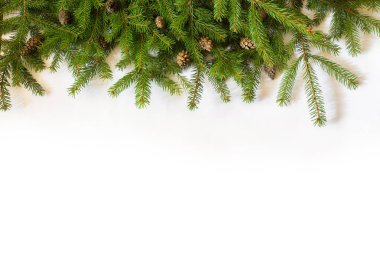 Beyaz arkaplanda Noel ağacı