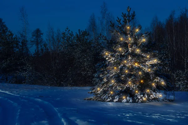 L'albero di Natale nella foresta si staglia chiaramente contro i toni blu scuro della scena della neve . — Foto Stock
