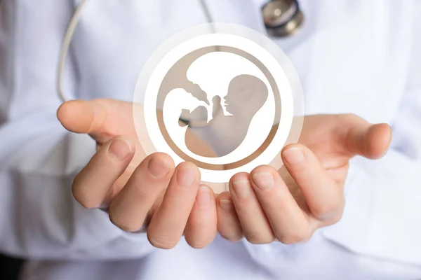 Symbol des Embryos in der Hand des Arztes. — Stockfoto