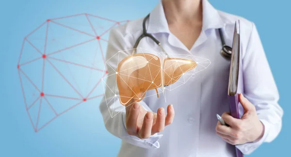 Doktor insan karaciğer gösterir.