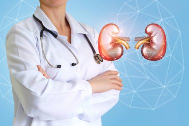 Ürolog doktor ve böbrek .