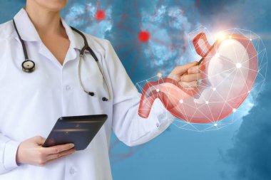 Çalışma insan mide.