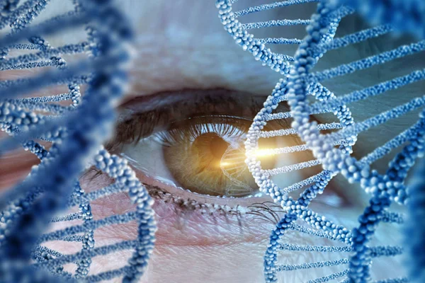Моніторинг ДНК людини . — стокове фото