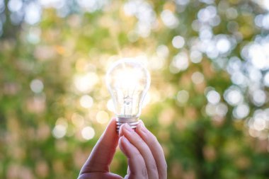 Şafakta elinde parlak fikir.