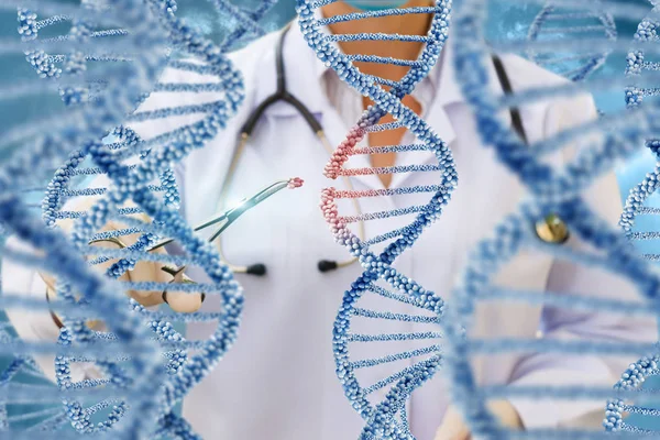 Um médico examina moléculas de DNA  . — Fotografia de Stock