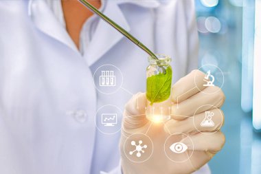 Biyoteknoloji araştırmacı genel kavram ya da biyoteknoloji bilim.
