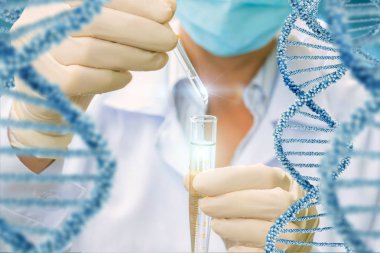 DNA moleküllerinin test .