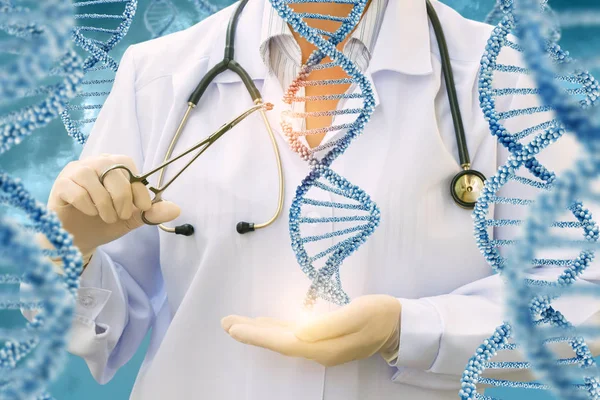 Изучение молекул ДНК врачом  . — стоковое фото