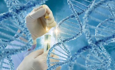 DNA moleküllerinin test .