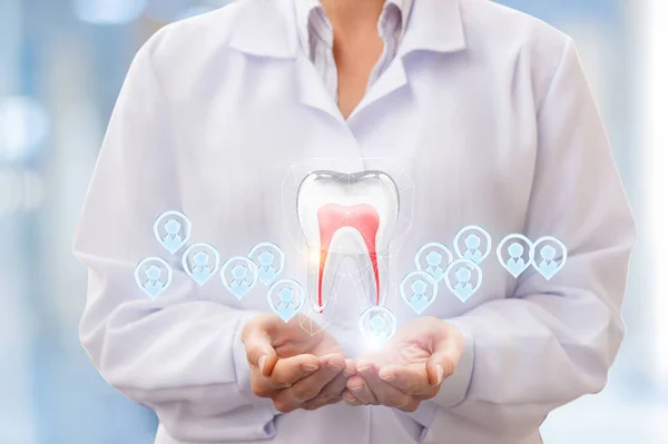 Tooth and patients in the hands of a dentist . — Stock Photo, Image