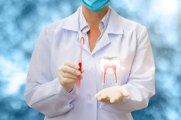 Toothbrush and tooth in the hands of a dentist. — Stock Photo, Image