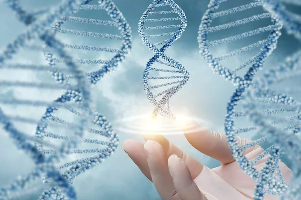 Hand in glove supports of the DNA molecule. — Stock Photo, Image