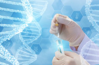 DNA moleküllerinin test .