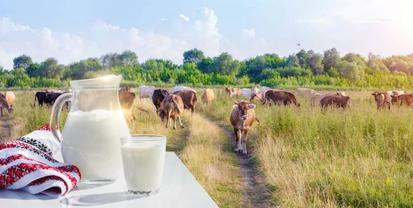 Kannan och glas mjölk . — Stockfoto