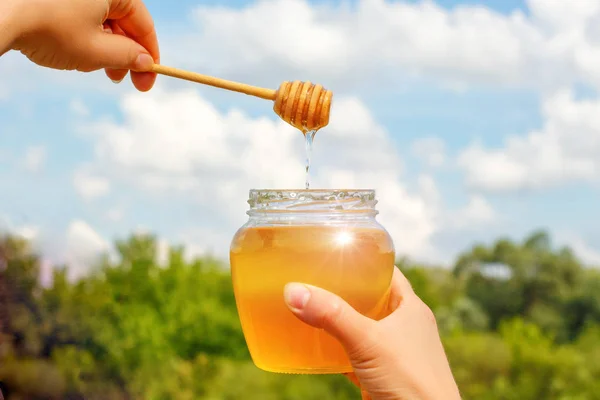 Glas honung potten i händer. — Stockfoto