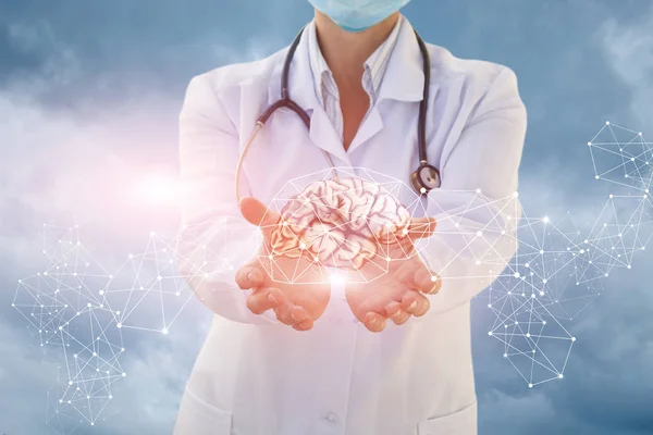 Medical worker shows the brain in hands .