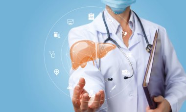 Doktor karaciğer yapısını gösterir.