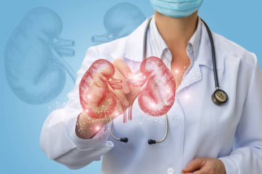 Doktor tanı insan böbreğe yapıyor .