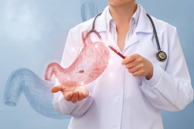 Doktor insan mide taslağını inceleyerek.