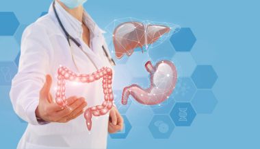 Doktor elinde organları gösterir. .