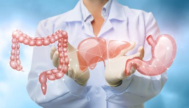 Doktor organ sindirim sistemi gösterir. .