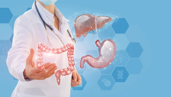 Doktor elinde organları gösterir. .