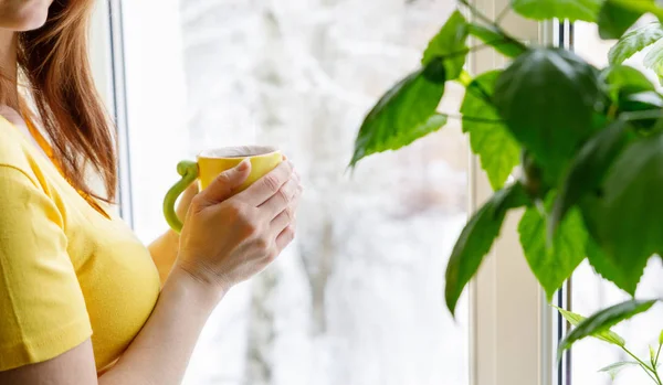 冬の窓に近い茶と女性. — ストック写真