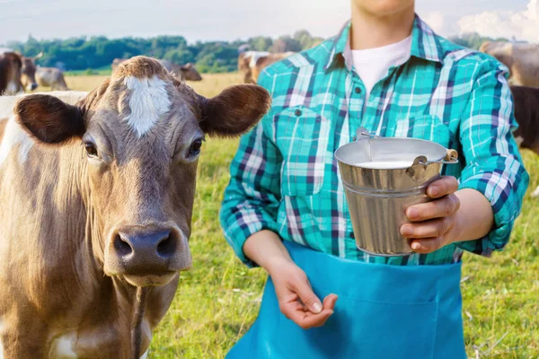 ミルク バケットと牛牛乳を注ぐ女 . — ストック写真