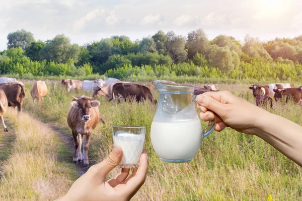 Jug of milk in hand and a glass . — Stock Photo, Image