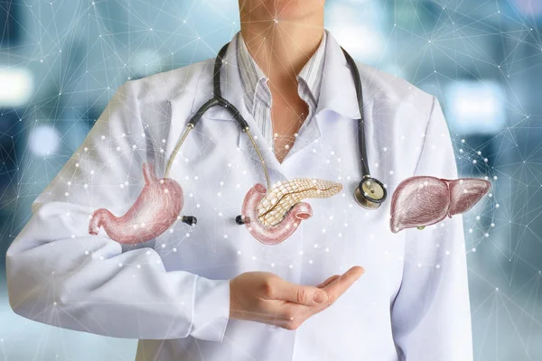 Arzt zeigt innere Organe der Verdauung . — Stockfoto